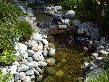 Pond After